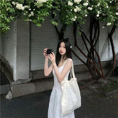 猫咪寻熊记